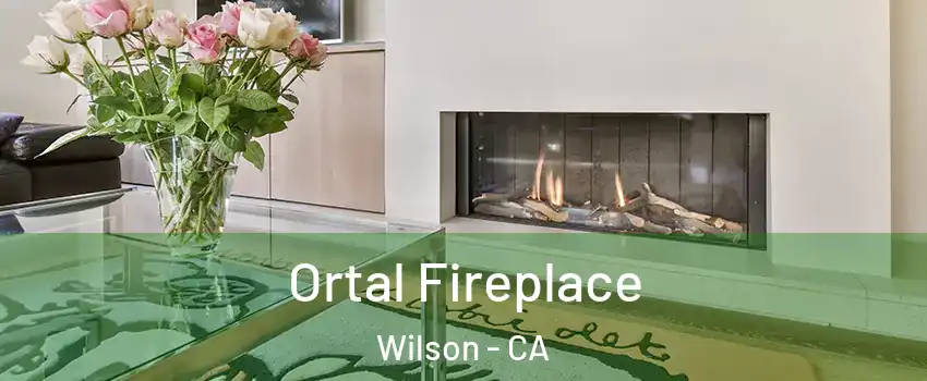 Ortal Fireplace Wilson - CA