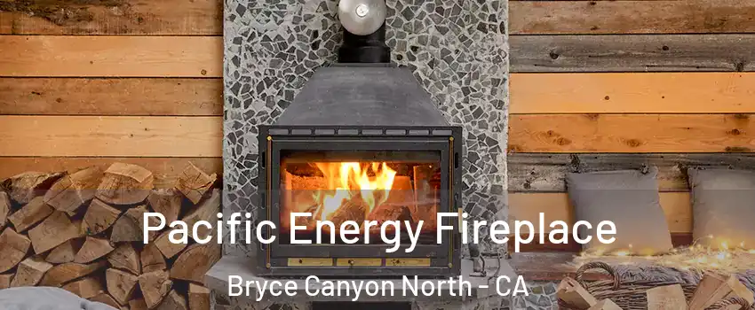 Pacific Energy Fireplace Bryce Canyon North - CA