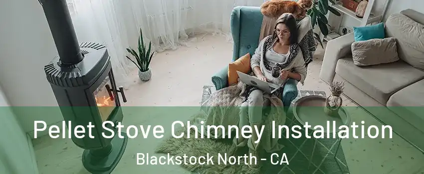 Pellet Stove Chimney Installation Blackstock North - CA