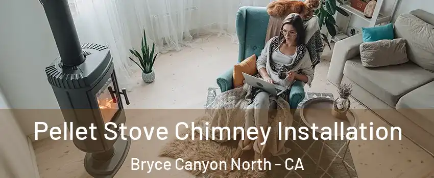 Pellet Stove Chimney Installation Bryce Canyon North - CA