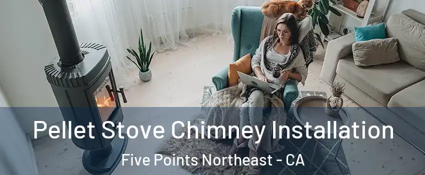 Pellet Stove Chimney Installation Five Points Northeast - CA