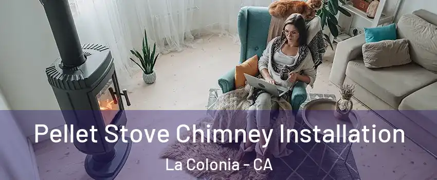 Pellet Stove Chimney Installation La Colonia - CA