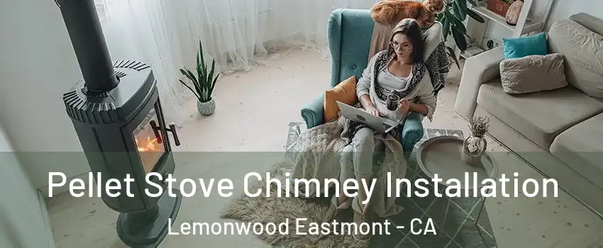 Pellet Stove Chimney Installation Lemonwood Eastmont - CA