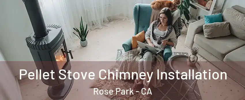 Pellet Stove Chimney Installation Rose Park - CA