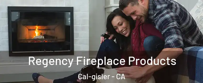 Regency Fireplace Products Cal-gisler - CA