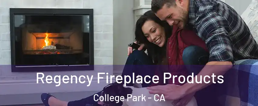 Regency Fireplace Products College Park - CA