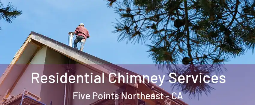 Residential Chimney Services Five Points Northeast - CA