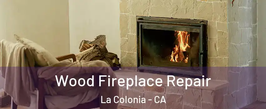 Wood Fireplace Repair La Colonia - CA