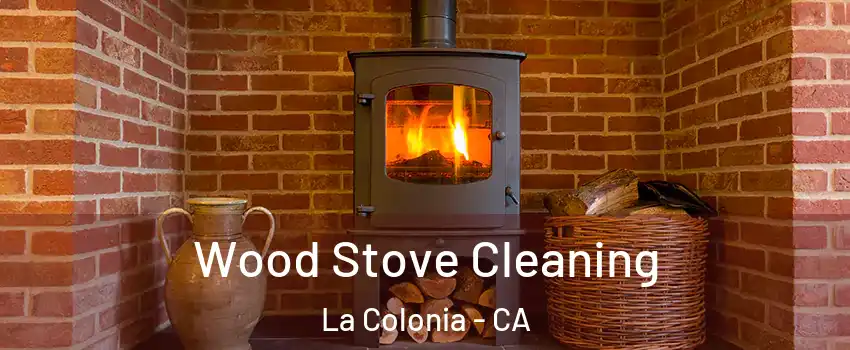 Wood Stove Cleaning La Colonia - CA