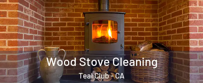 Wood Stove Cleaning Teal Club - CA